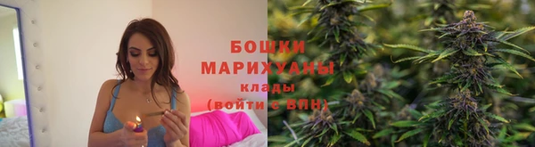 соль ск Богородицк