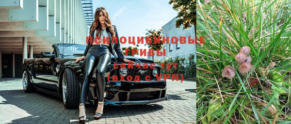каннабис Белокуриха